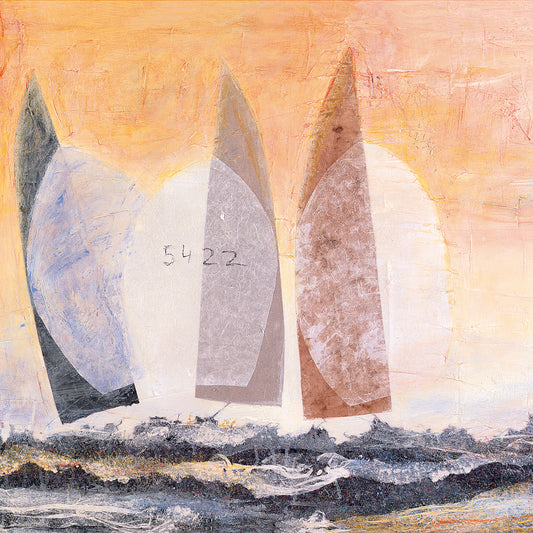 Segelbild "5422 im Surf"