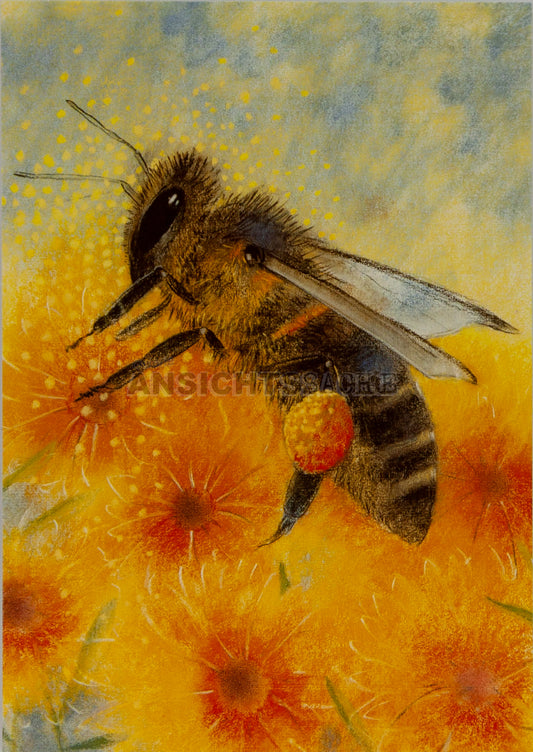 Postkarte "Loes Botman - Abbildung II aus: Klein insectenboek"