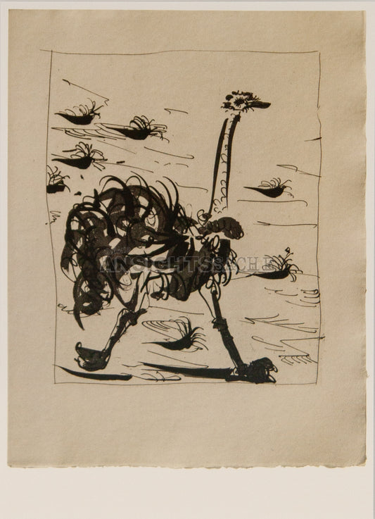 Postkarte "Pablo Picasso - Strauß/Ostrich"