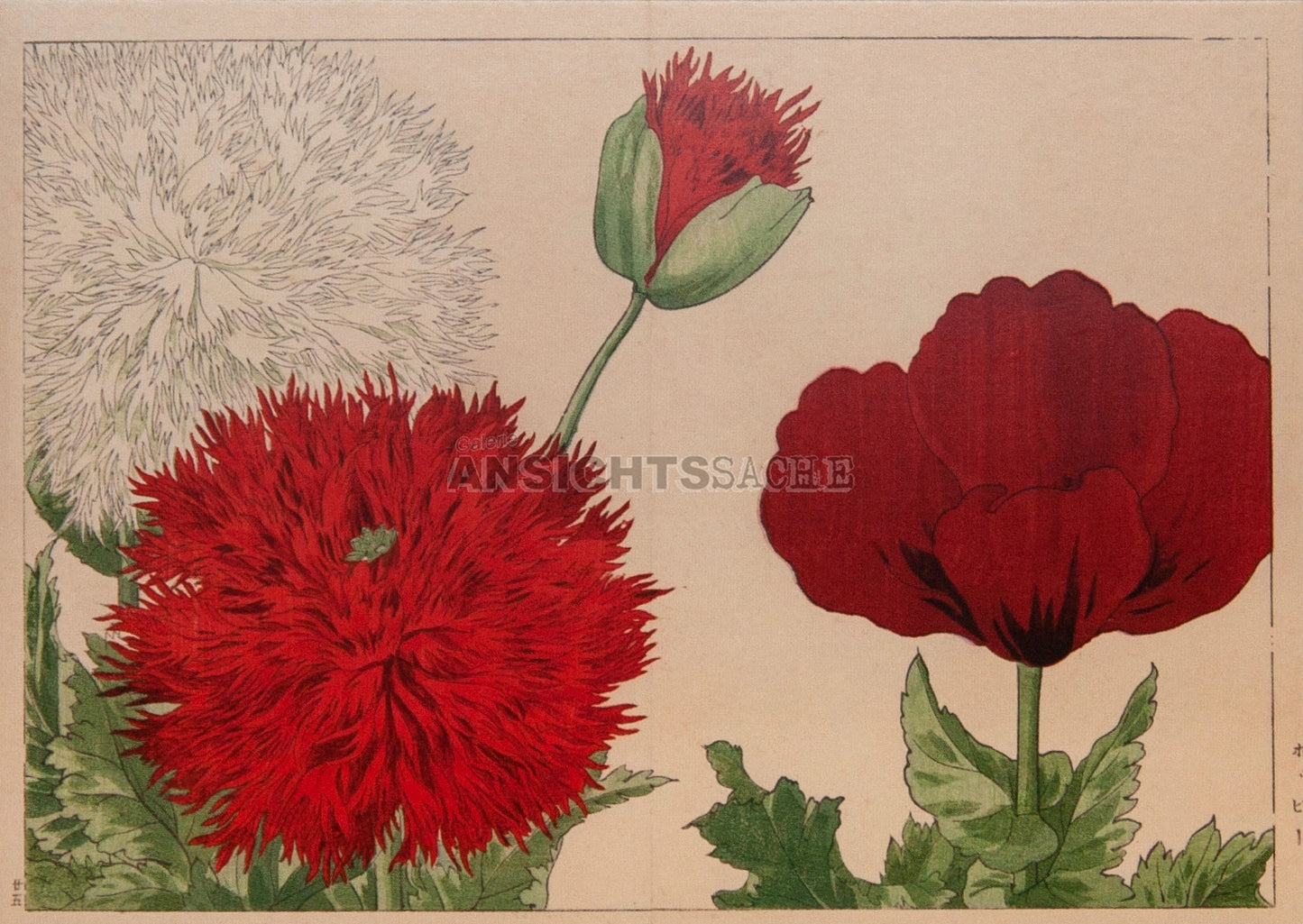 Postkarte "Konan Tanigami - Mohnblüten"