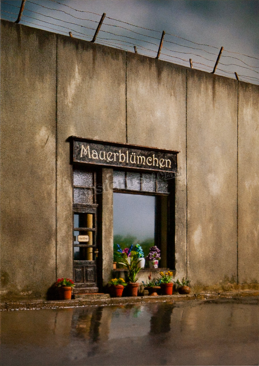 Postkarte "Frank Kunert - Mauerblümchen"