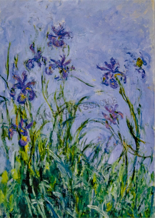 Postkarte "Claude Monet - Malvenfarbene Iris"
